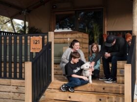 Family sits on deck of safari tent with pet dog
