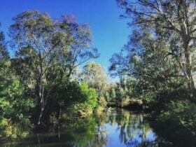 River view, trees either side, blue sky, sunny day.