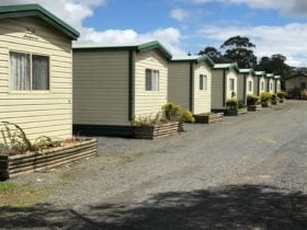 Prom Central Cabins