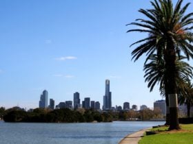Albert Park Lake