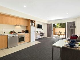 One Bedroom Apartment