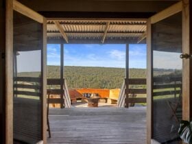 a wooden deck with a fireplace looking out on to the bushland