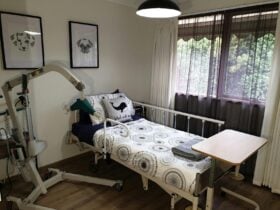 Single Hospital Bed and Hoist