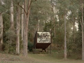 The Treehouse is suspended above the driveway and surrounded by gumtrees
