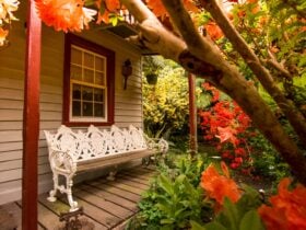Image of the covered front verandah with white wrought iron park bench and azaleas in flower.