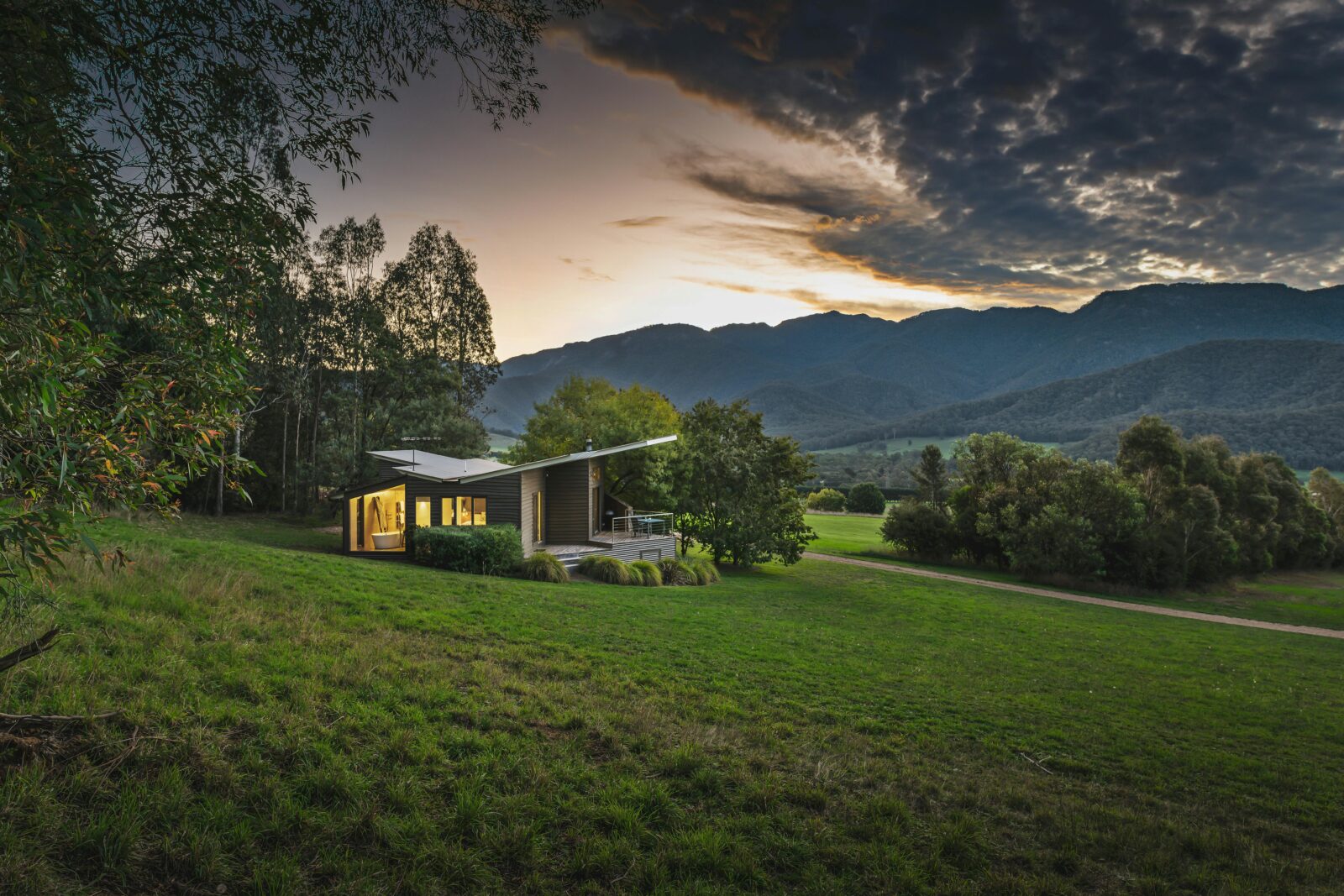 studio 1 mt buffalo