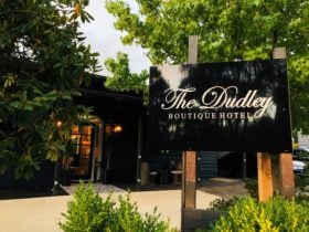 The Dudley