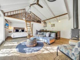 Loft with bed and couch and a ladder.
