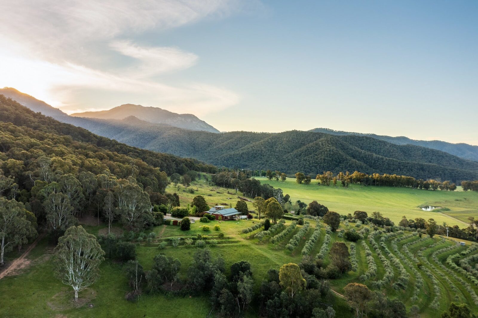 Drone View of The Grove Estate Property in Porepunkah