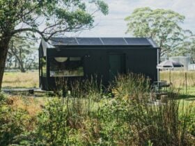 A black tiny home sitting amongst native bush