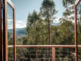 Studio 2 balcony view over surrounding bushland and down the Ovens Valley