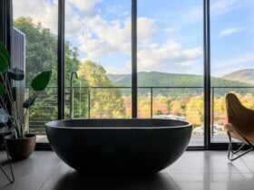 bathtub the view