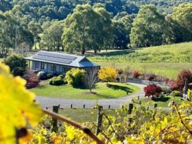 View of the Vineyard House from the Sangiovese Hill