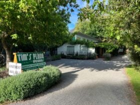 An environmentally friendly accommodation venue in Halls Gap.