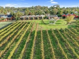 Aerial view Vineyard Accommodation