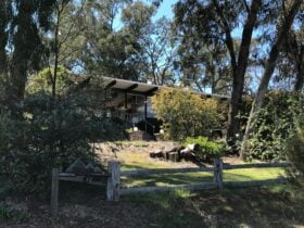 a villa with floor to ceiling glass windows surrounded by Australian bushland