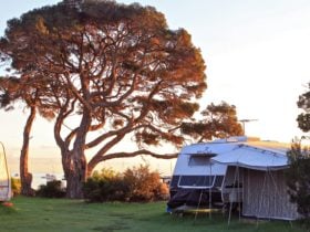 Camerons Bight Camping