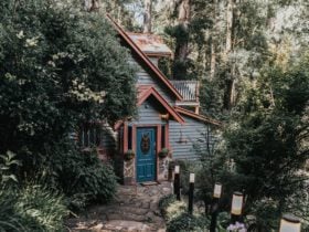 Wild Orchid Olinda is a private, luxurious, stand alone, completely self contained 70sqm cottage