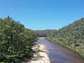 A wide river with a sandy bank surrounded by forest