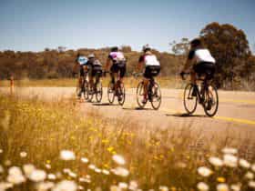 7 Peaks Ride Dinner Plain