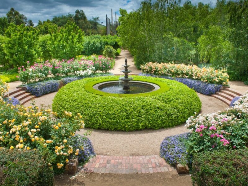 A fountain surrounded by a circle of hedges and roses