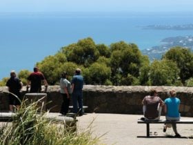 Arthurs Seat State Park