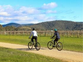 cycling, pyrenees, cycling wineries,