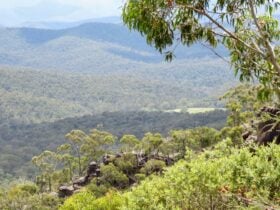 Avon Mount Hedrick Scenic Reserve