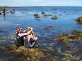 Barwon Bluff Marine Sanctuary