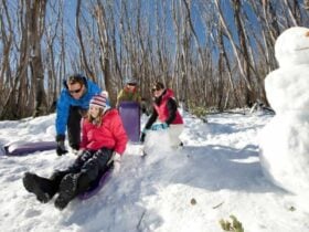 Baw Baw National Park