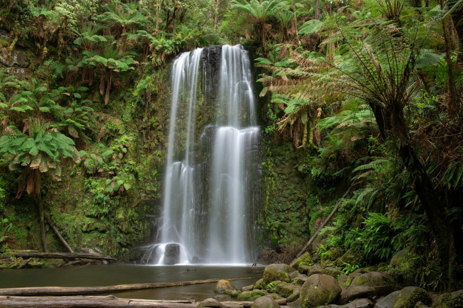 Waterfall surrounded by steep fern clad hills
