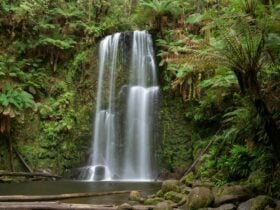 Waterfall surrounded by steep fern clad hills