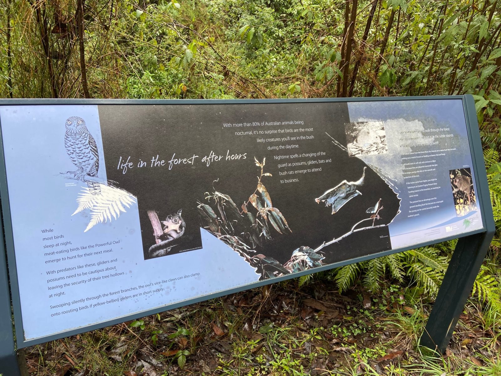 Beauty Spot Nature Trail