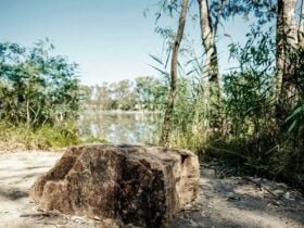 A rock in the Benalla Aboriginal Gardens overlooking Lake Benalla.