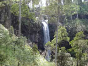 Bindaree Falls