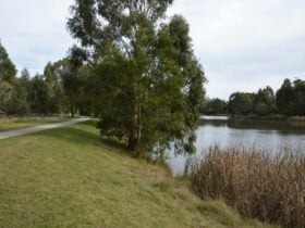 Birdsland Reserve, Belgrave, visityarravalley.com.au