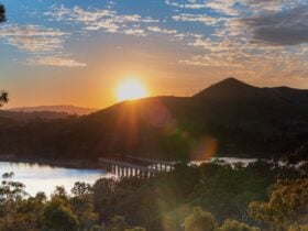 Bonnie Doon Bridge from Daisy Hill Lodge