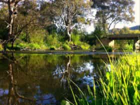 Bracks Bridge on the Delatite River