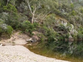 Briagolong State Forest
