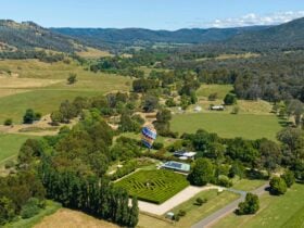 An aerial showing Brookfield Maze, a hot air balloon and the backdrop of the beautiful 15 mile creek