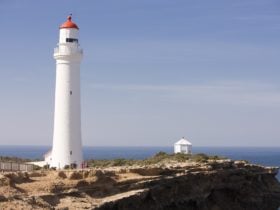 Cape Nelson State Park