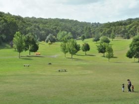 Cardinia Resevoir Park