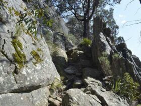 Cathedral Ranges Southern Circuit, visityarravalley.com.au
