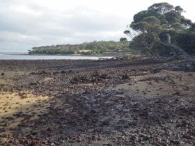 Churchill Island Marine National Park