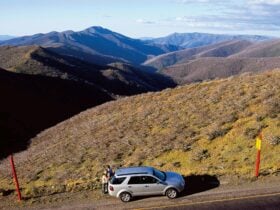 Views over Mount Hotham National Park