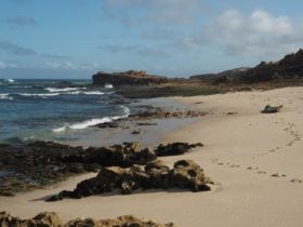 Dimmicks Beach