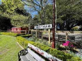 Trentham signage with a bench