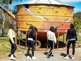 Wander the main street of Dookie to see nomadic silo art
