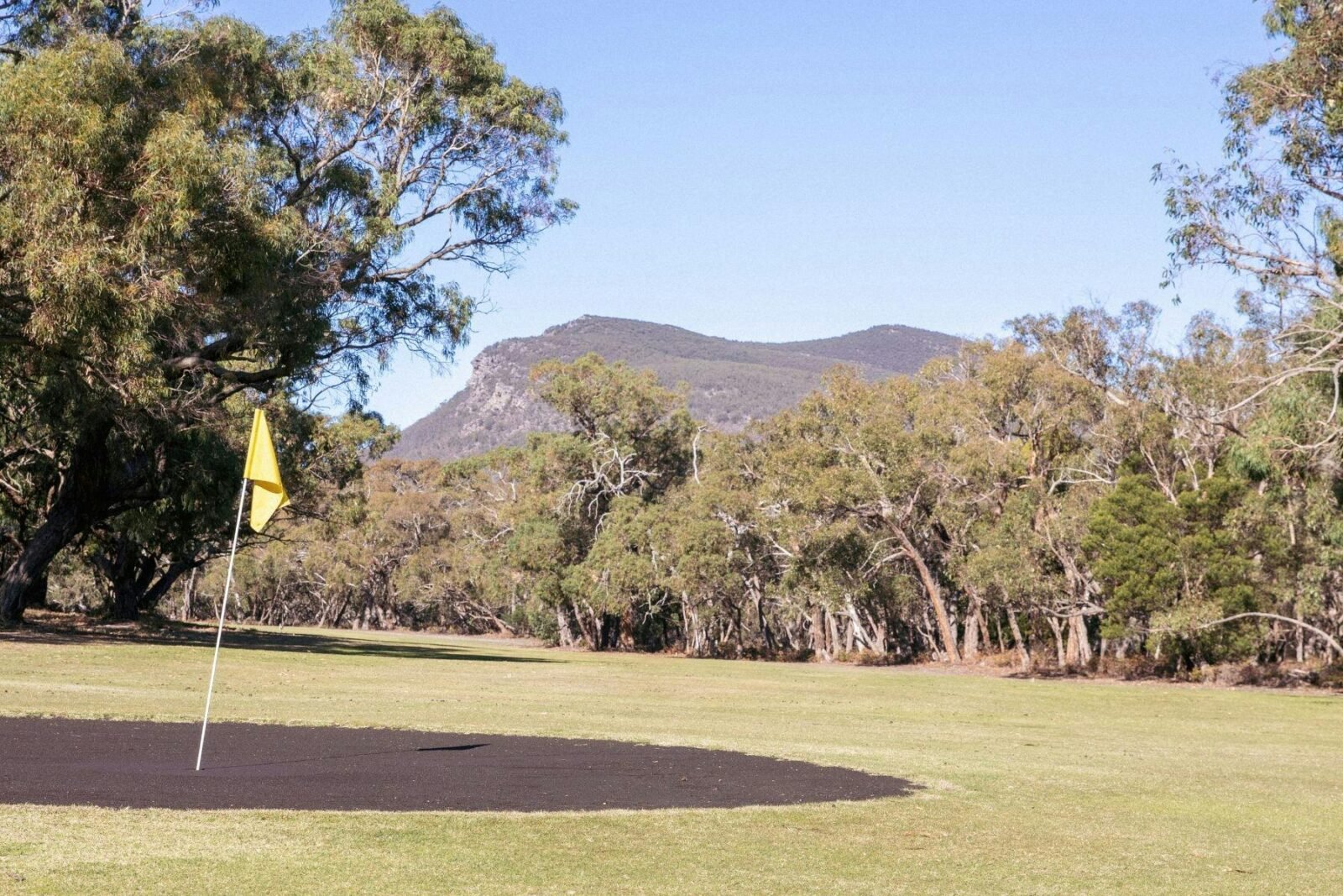 Mount Abrupt in the background of a golf tee