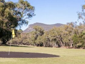 Mount Abrupt in the background of a golf tee